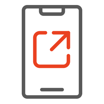 Icon 1